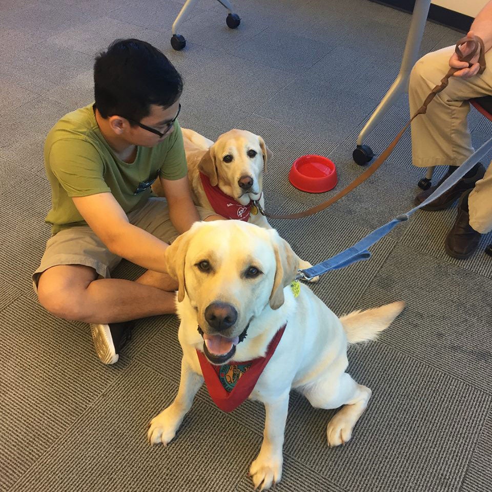 Student interacts with two dogs at the Meuller Center